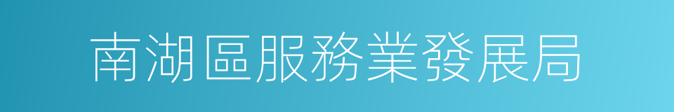 南湖區服務業發展局的同義詞