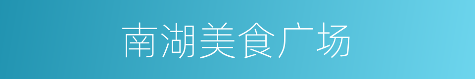 南湖美食广场的同义词