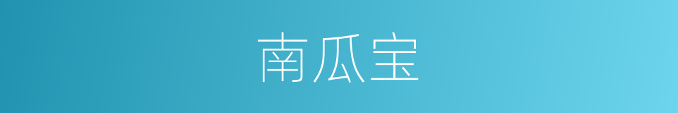 南瓜宝的同义词