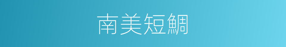 南美短鯛的同義詞