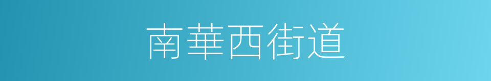 南華西街道的同義詞