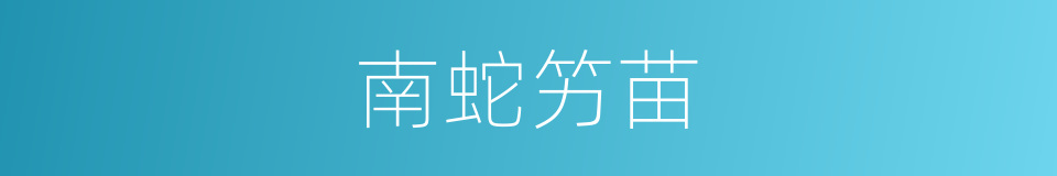 南蛇竻苗的同义词