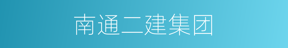 南通二建集团的同义词