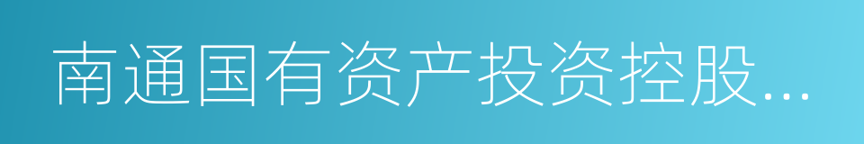 南通国有资产投资控股有限公司的同义词