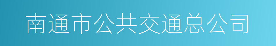 南通市公共交通总公司的同义词