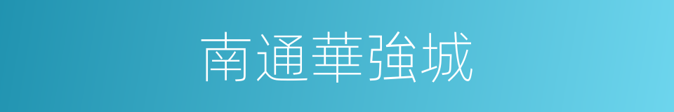 南通華強城的同義詞