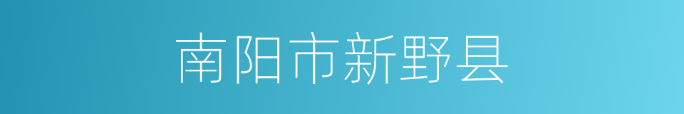 南阳市新野县的同义词