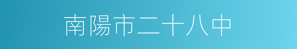南陽市二十八中的同義詞