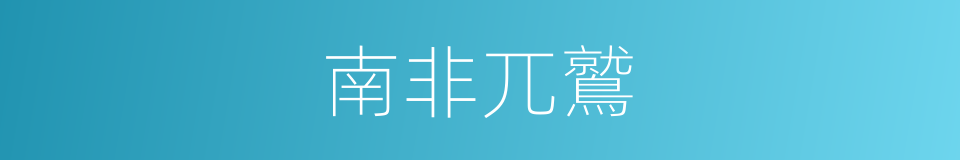 南非兀鷲的同義詞