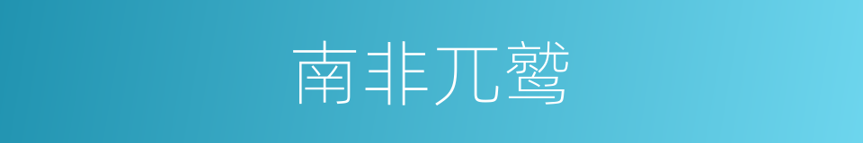 南非兀鹫的同义词