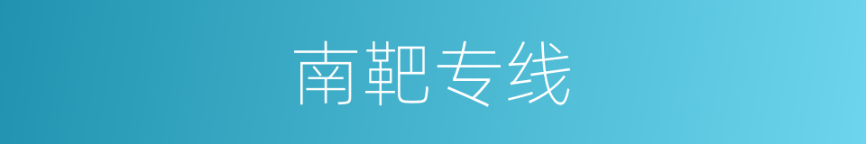 南靶专线的同义词