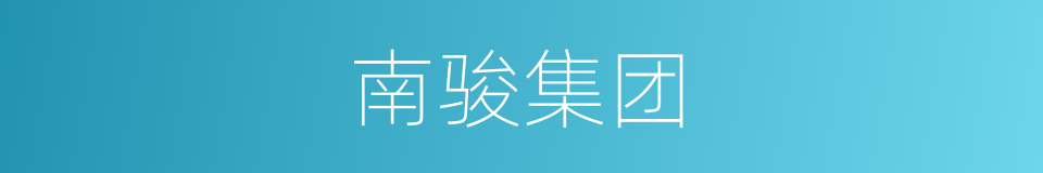 南骏集团的同义词