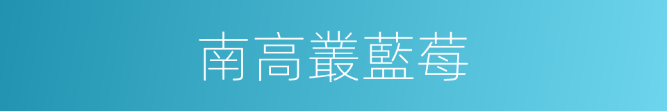 南高叢藍莓的同義詞