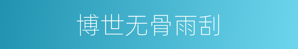 博世无骨雨刮的同义词