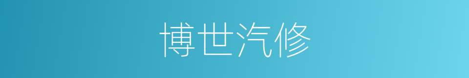 博世汽修的同义词