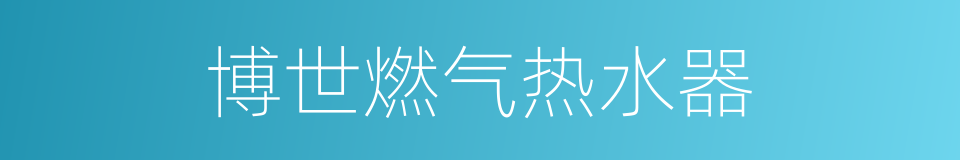 博世燃气热水器的同义词