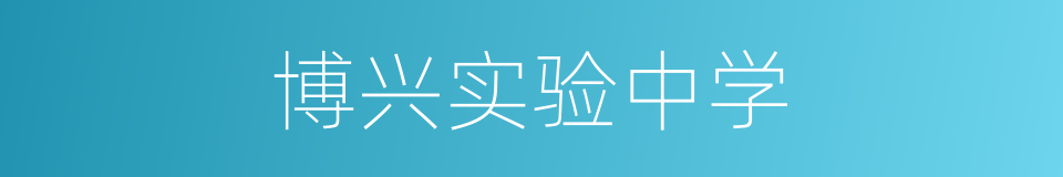 博兴实验中学的同义词