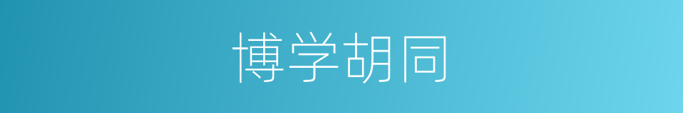 博学胡同的同义词