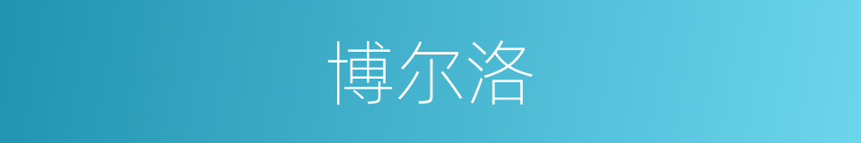 博尔洛的同义词