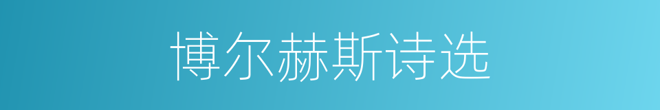博尔赫斯诗选的同义词