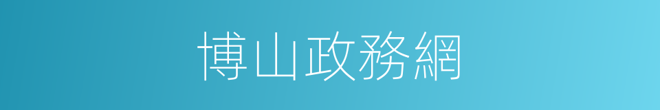 博山政務網的同義詞