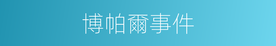 博帕爾事件的同義詞
