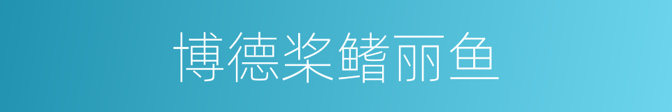 博德桨鳍丽鱼的同义词