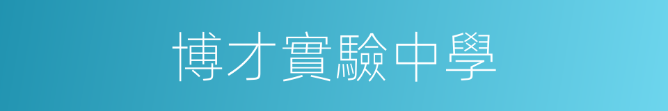 博才實驗中學的同義詞