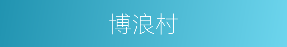 博浪村的同义词