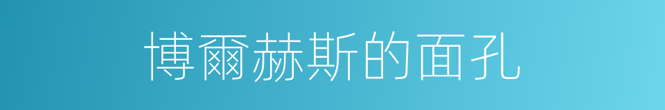 博爾赫斯的面孔的同義詞