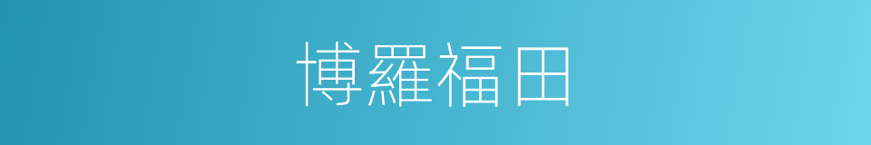 博羅福田的同義詞