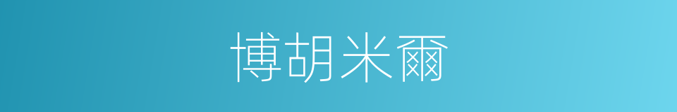 博胡米爾的同義詞
