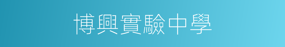 博興實驗中學的同義詞