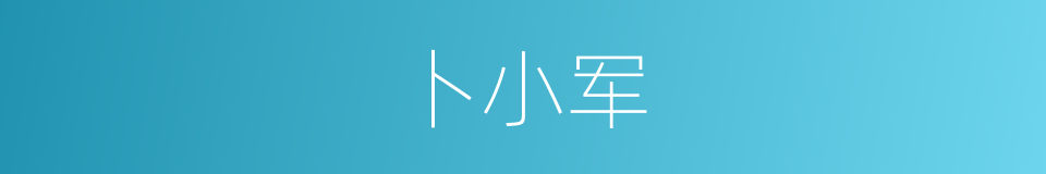 卜小军的同义词
