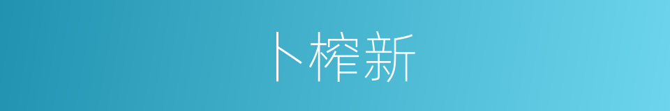 卜榨新的同义词