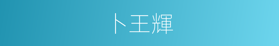 卜王輝的同義詞