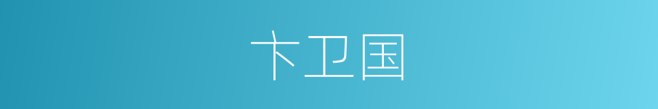 卞卫国的同义词
