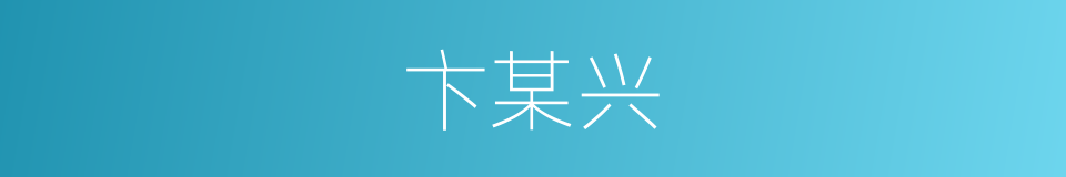 卞某兴的同义词