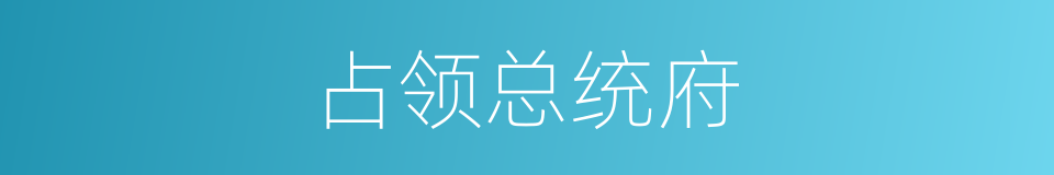 占领总统府的同义词