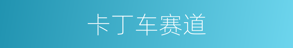 卡丁车赛道的同义词