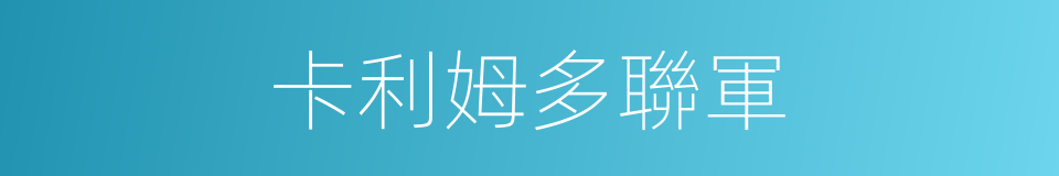 卡利姆多聯軍的同義詞