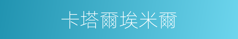 卡塔爾埃米爾的同義詞