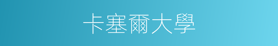 卡塞爾大學的同義詞