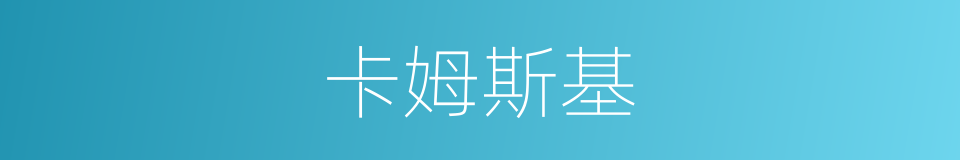 卡姆斯基的同义词