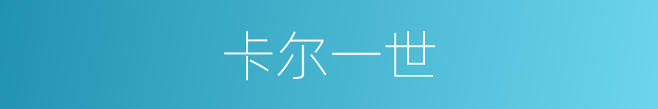 卡尔一世的同义词