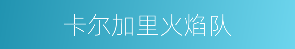 卡尔加里火焰队的同义词