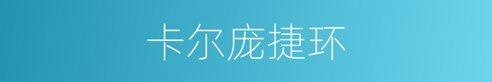卡尔庞捷环的同义词