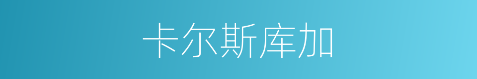 卡尔斯库加的同义词