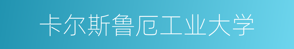 卡尔斯鲁厄工业大学的同义词