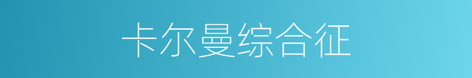 卡尔曼综合征的同义词